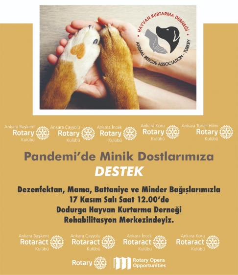 Pandemi döneminde minik dostlarımıza mama desteği verildi. 17 Kasım 2020